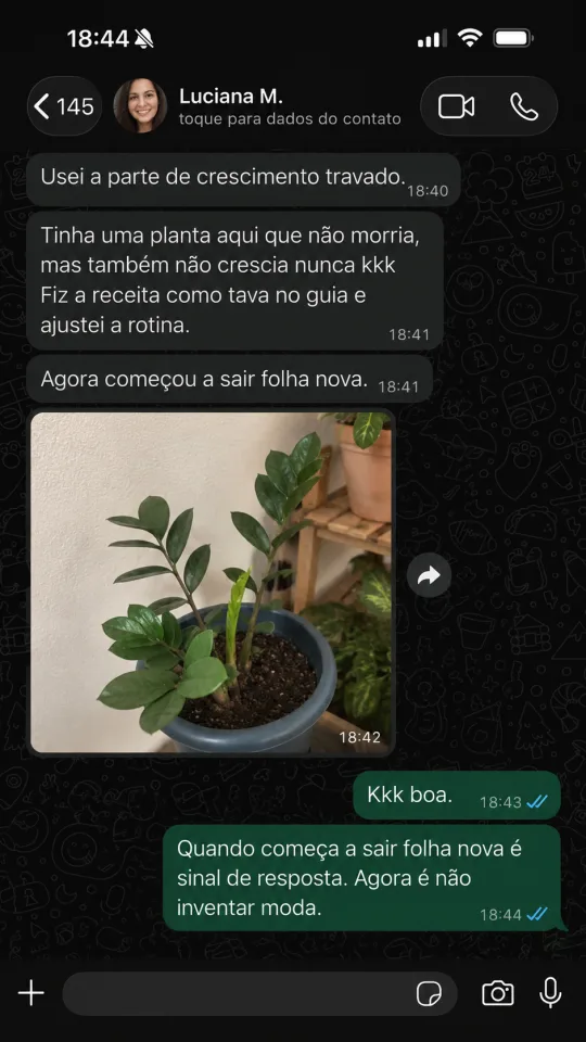 Depoimento de cliente no WhatsApp