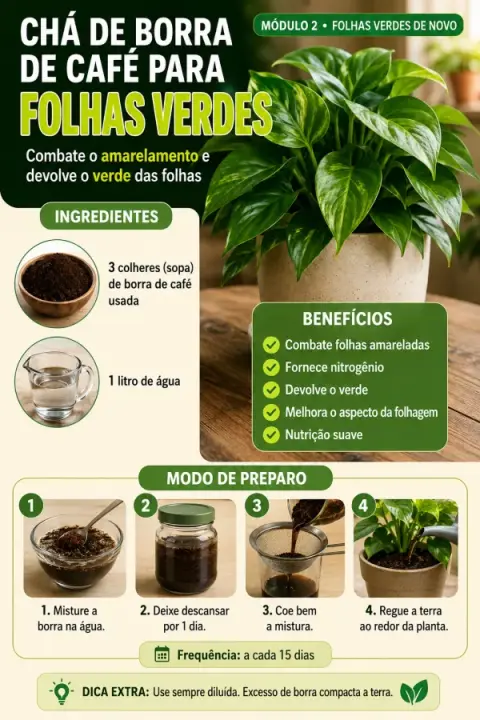 Receita do guia